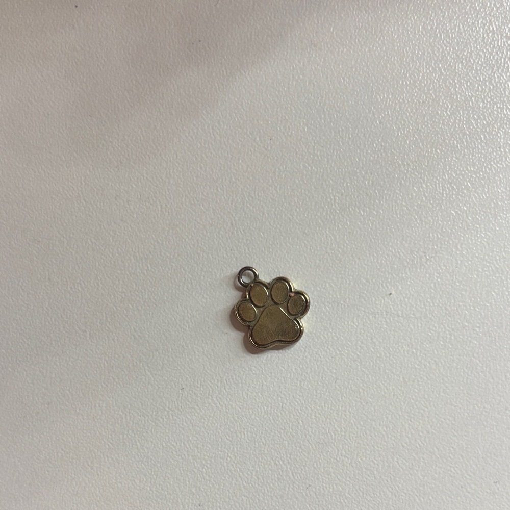 Alex and Ani Gold Paw Charm